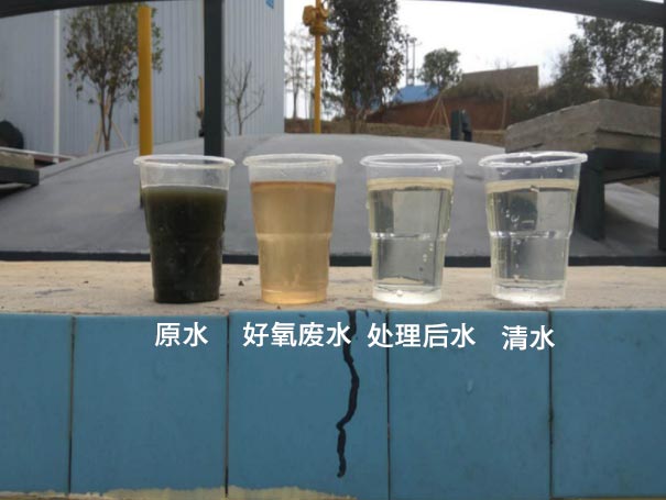 汙水曝氣羅茨鼓JK漫画在线下载應用案例 汙水曝氣羅茨鼓JK漫画在线下载應用案例