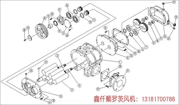 三葉羅茨鼓JK漫画在线下载安裝示意圖