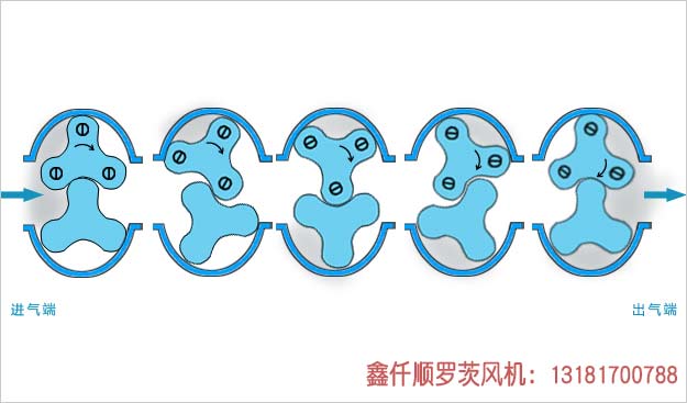 羅茨JK漫画在线下载工作原理