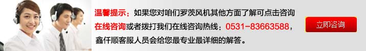 羅茨JK漫画在线下载廠家溝通客服 曝氣JK漫画在线下载-汙水曝氣羅茨鼓JK漫画在线下载選型原理及用途(圖4)