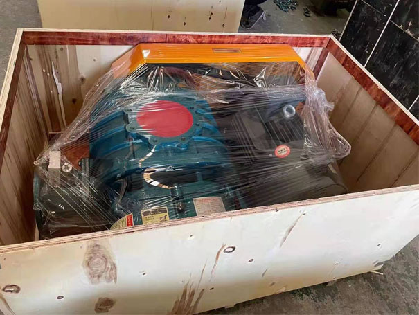 XQSSR125H高壓水冷羅茨JK漫画在线下载發貨廣東湛江吳川市(圖3)